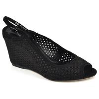   Vitto Rossi 07167