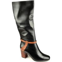   Bosca 05806