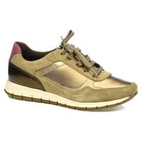   Geox 04654
