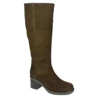   Ann Mex 011234
