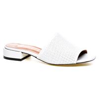   Lottini 069813