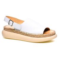   Phany 069849