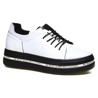    Gattini 034964