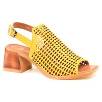   Nod Trend 069971