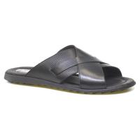   Stepter 66414