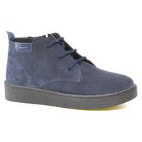    Nod Trend 013499
