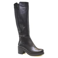   Stepter 013612