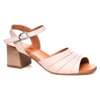   Nod Trend 060075