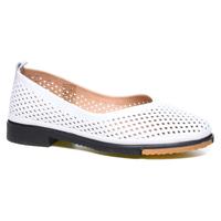   Nod Trend 089278