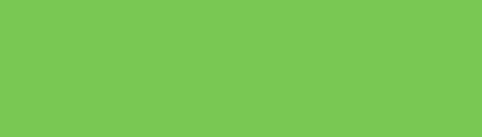 яркий зеленый для модных туфель и балеток весна 2016 Pantone