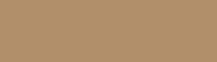 нейтральный коричневый цвет обуви весна 2016 Pantone